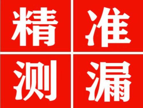 环江尚嘉漏水精准查找